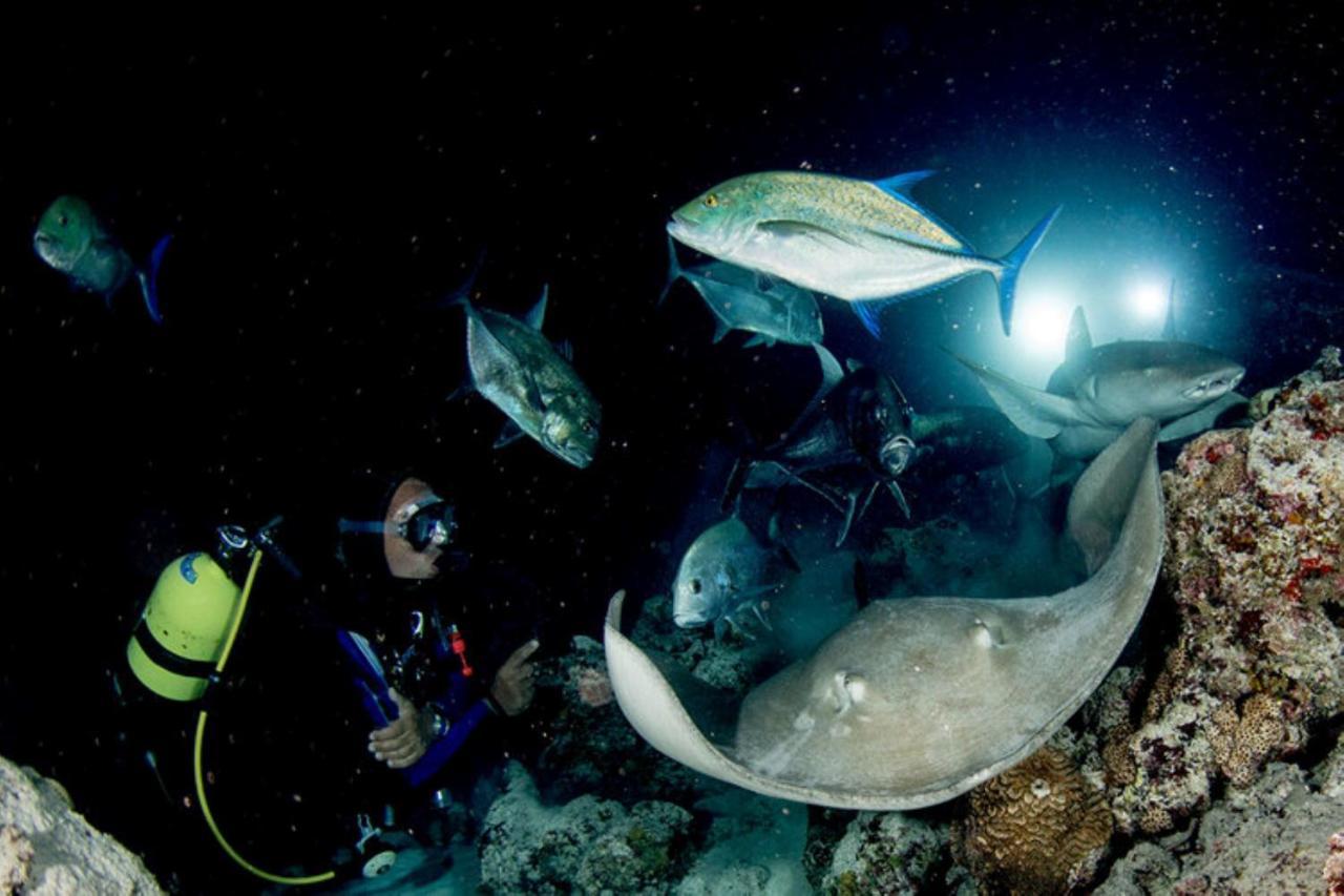 Hotel And Dive Center Roatan Yacht Club French Harbour Екстериор снимка